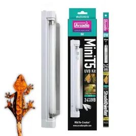lampa-dla-gadow-nadrzewnych-arcadia-mini-t5-kit-or-8w-24percent-uvb-12percent-uva-k