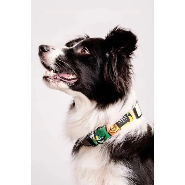 chaba-obroza-regulowana-jumbo-s-20-33cm-stan-nowy