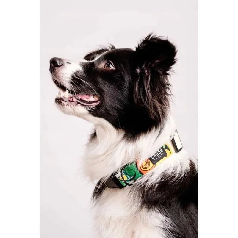 chaba-obroza-regulowana-jumbo-s-20-33cm-stan-nowy