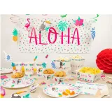 plakat-aloha-congee-70-x-33-cm