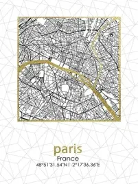 obraz-45x60x18cm-plan-miasta-paris-wyprzedaz