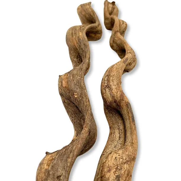 biothai-liana-4-6cm-100cm-kod-producenta-biothai-liana-4-6cm-100cm