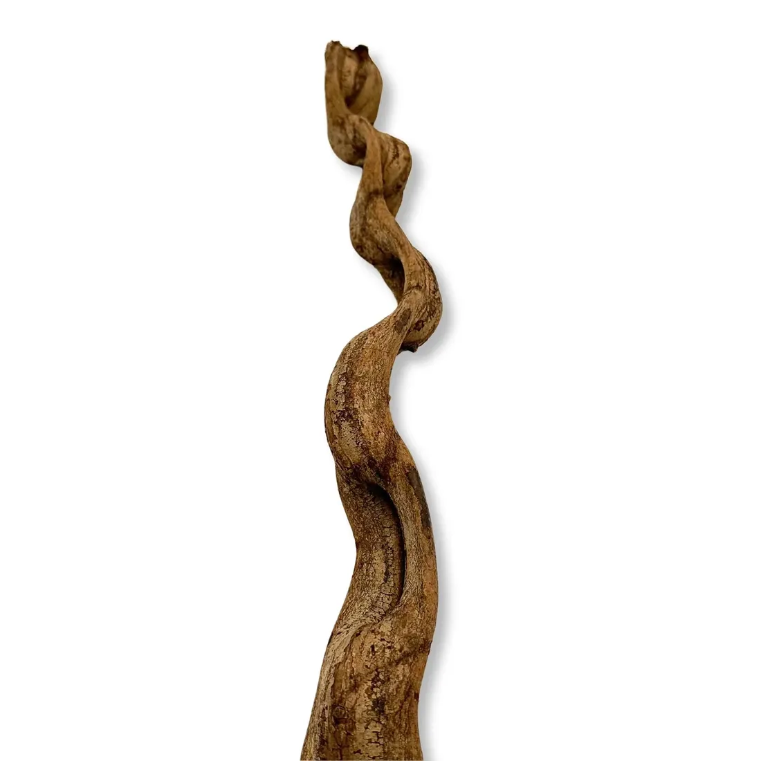 biothai-liana-4-6cm-100cm-stan-nowy