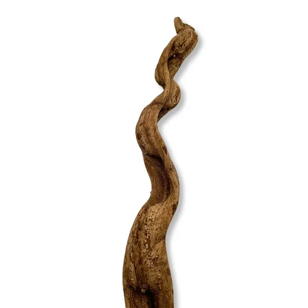 biothai-liana-4-6cm-100cm-kod-producenta-biothai-liana-4-6cm-100cm
