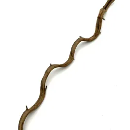 biothai-liana-1-2cm-100cm