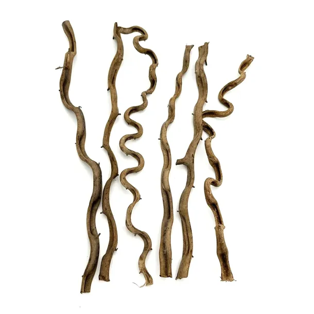 biothai-liana-1-2cm-100cm-kod-producenta-biothai-liana-1-2cm-100cm