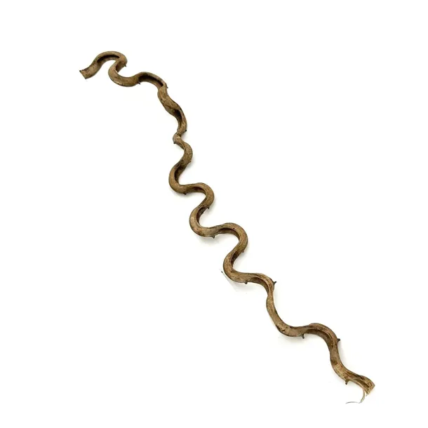 biothai-liana-1-2cm-100cm-kod-producenta-biothai-liana-1-2cm-100cm-stan-nowy