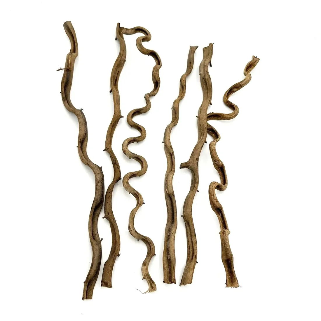 biothai-liana-2-4cm-100cm-stan-nowy