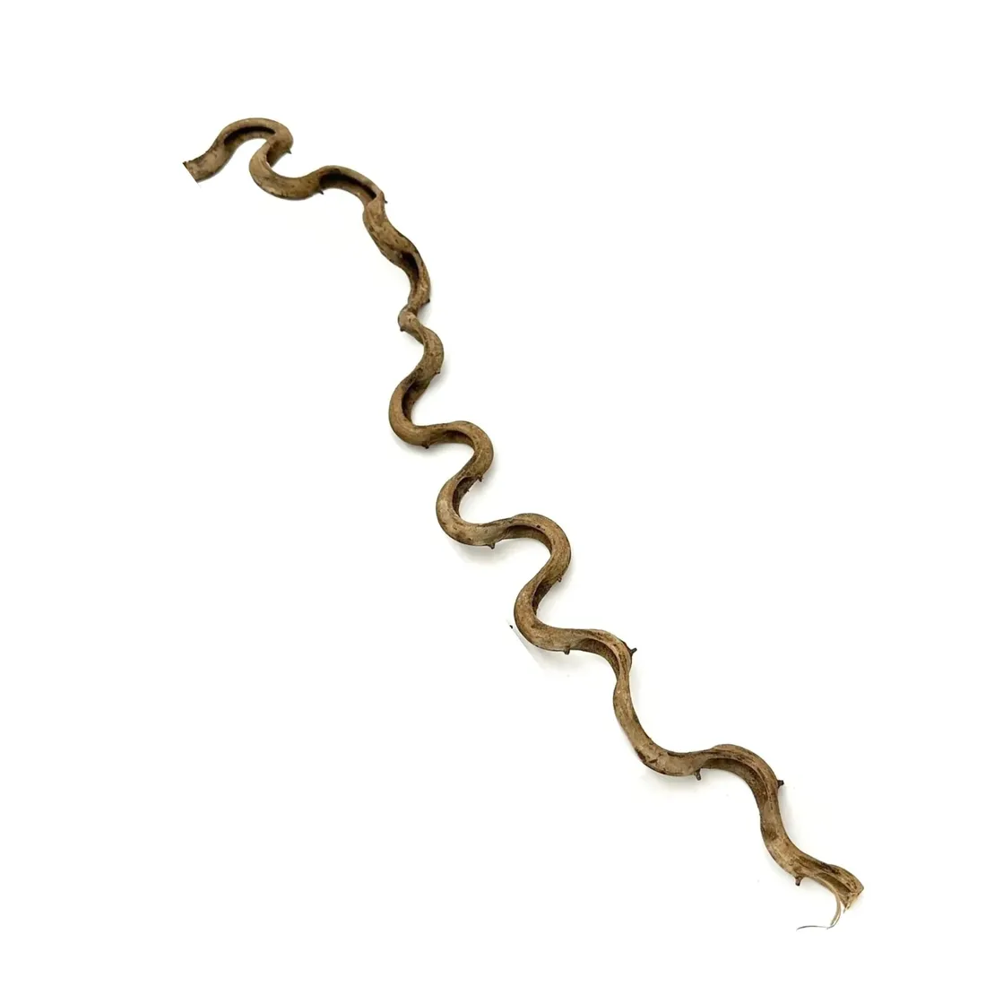 biothai-liana-2-4cm-100cm-stan-nowy