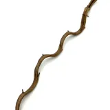 biothai-liana-2-4cm-100cm-kod-producenta-biothai-liana-2-4cm-100cm-stan-nowy