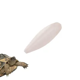 medisepia-cuttlebone-sepia-w-calosci-naturalna