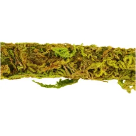 repti-zoo-liana-do-terrarium-z-naturalnym-mchem-15cm-x-2m