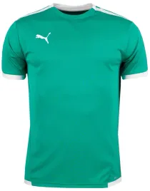 puma-koszulka-t-shirt-dziecieca-sportowa-roz-176