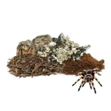 zestaw-pajeczarza-mini-kod-producenta-set-spider-mini-stan-nowy