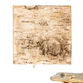 biobirch-bark-prasowana-kora-brzozy-tlo-20x20cm