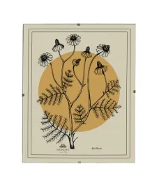 adi-ramka-40x50-cm-antyrama-mondex-since-1986-htok1547-5905771451547
