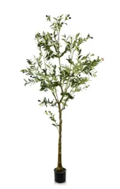 olives-kwiat-sztuczny-180cm-mondex-since-1986r-htua8907-5905771428907