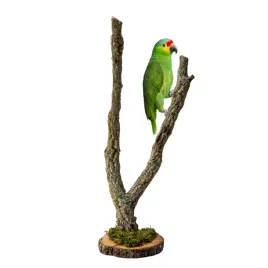 biocork-tree-drzewko-na-podstawce-z-galezi-debu-korkowego-dla-papug-50cm
