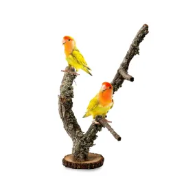 biocork-tree-drzewko-na-podstawce-z-galezi-debu-korkowego-dla-papug-40cm