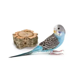 biochews-naturalne-gryzaki-z-galezi-debu-korkowego-dla-papugi-3szt
