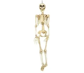 dekoracja-szkieletor-szkielet-kosciotrup-ruchome-konczyny-halloween-90-cm