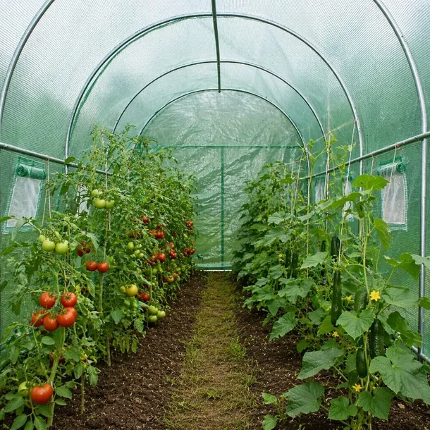 szklarnia-ogrodowa-tunel-foliowy-ogrodowy-namiot-foliak-3x2x2m-pe-140-g-m-szerokosc-produktu-200-cm
