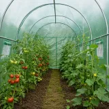 szklarnia-ogrodowa-tunel-foliowy-ogrodowy-namiot-foliak-3x2x2m-pe-140-g-m-szerokosc-produktu-200-cm