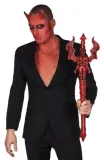 widly-diabla-ozdobne-73cm-00573-marka-inna-marka