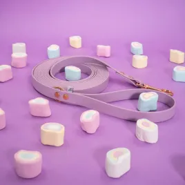 linka-treningowa-dla-psa-5-metrowa-biothaner-lilac-melody-13mm