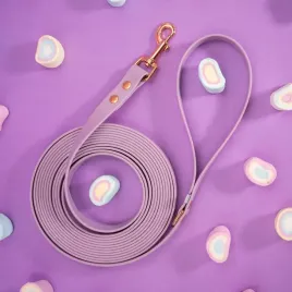 linka-treningowa-dla-psa-5-metrowa-biothaner-lilac-melody-19mm