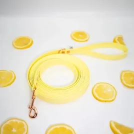 linka-treningowa-dla-psa-5-metrowa-biothaner-limoncello-13mm