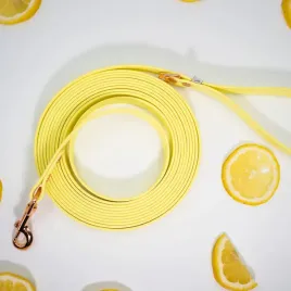linka-treningowa-dla-psa-5-metrowa-biothaner-limoncello-19mm