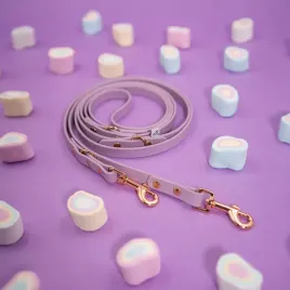 smycz-przepinana-dla-psa-biothane-r-lilac-melody-13mm