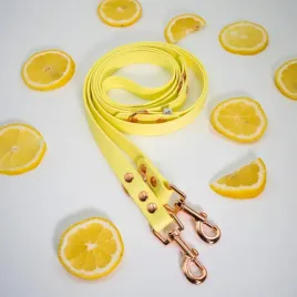 smycz-przepinana-dla-psa-biothane-r-limoncello-13mm