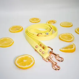 smycz-przepinana-dla-psa-biothane-r-limoncello-19mm