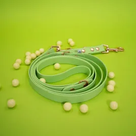 smycz-przepinana-dla-psa-biothane-r-sour-apple-19mm