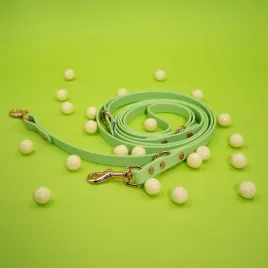smycz-przepinana-dla-psa-biothane-r-sour-apple-13mm
