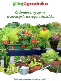 kalendarz-wysiewu-warzyw-i-kwiatow-rajogrodnika