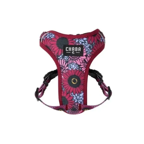chaba-szelki-dla-psa-guard-comfort-lakota-s-wielkosc-psa-maly-pies