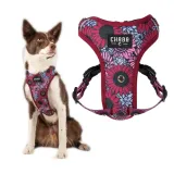 chaba-szelki-dla-psa-guard-comfort-lakota-s-rozmiar-s
