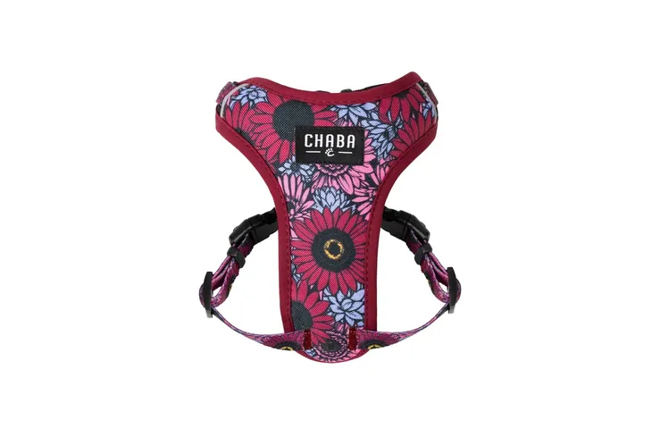 chaba-szelki-dla-psa-guard-comfort-lakota-s-typ-regulowane