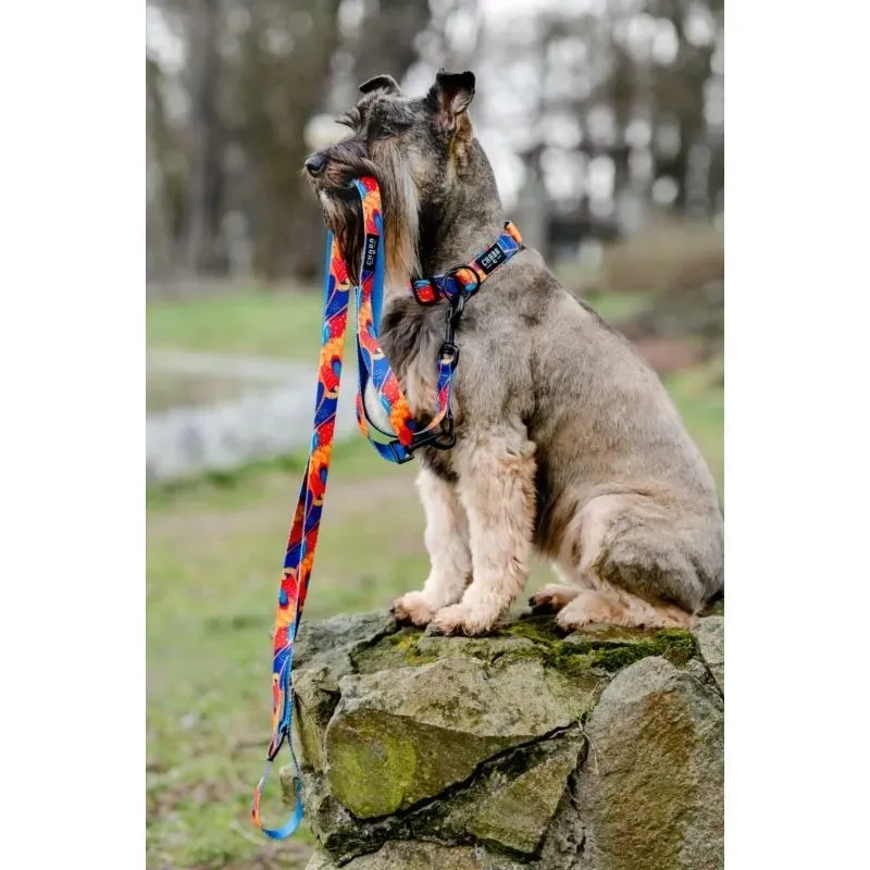 chaba-smycz-regulowana-aussie-260cm-szerokosc-25cm-stan-nowy