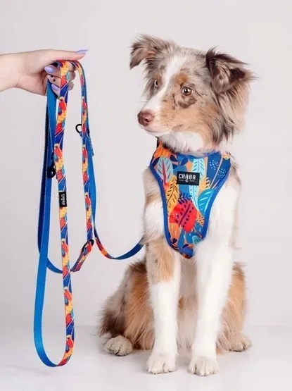 chaba-smycz-regulowana-aussie-260cm-szerokosc-25cm-stan-nowy-kolor-wielokolorowy