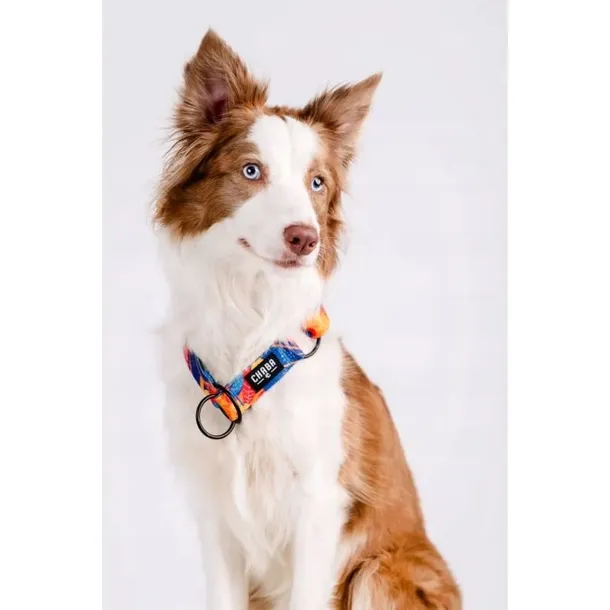 chaba-obroza-polzaciskowa-aussie-m-26-50cm-stan-nowy