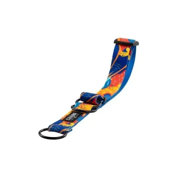 chaba-obroza-polzaciskowa-aussie-m-26-50cm-kolor-wielokolorowy