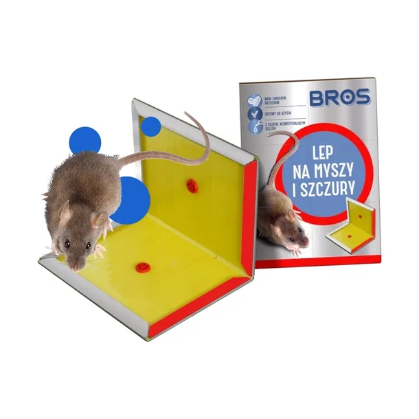 lep-na-myszy-i-szczury-rodzaj-lep
