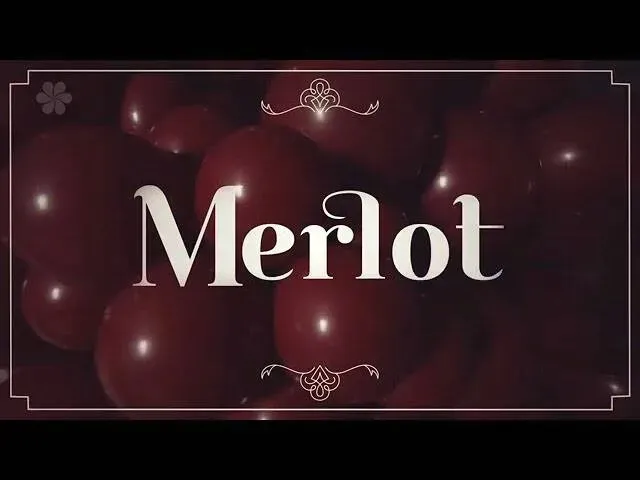 balon-24-cale-sempertex-solid-1-szt-merlot