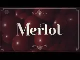 balon-24-cale-sempertex-solid-1-szt-merlot