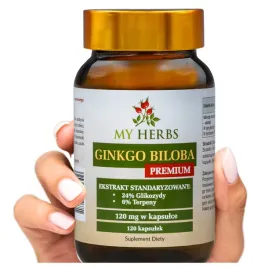 ginkgo-biloba-premium-120-kaps-pamiec-uklad-krwionosny-wsparcie