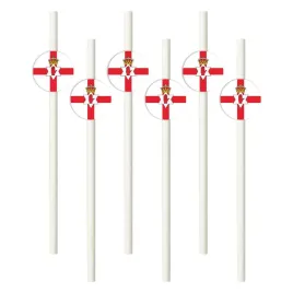 slomki-panstwa-swiata-irlandia-polnocna-195-cm-6-szt